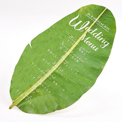 ��˥塼ɽ�֥꡼�ա״����ʥ��������ʰ������ˡ��뺧��