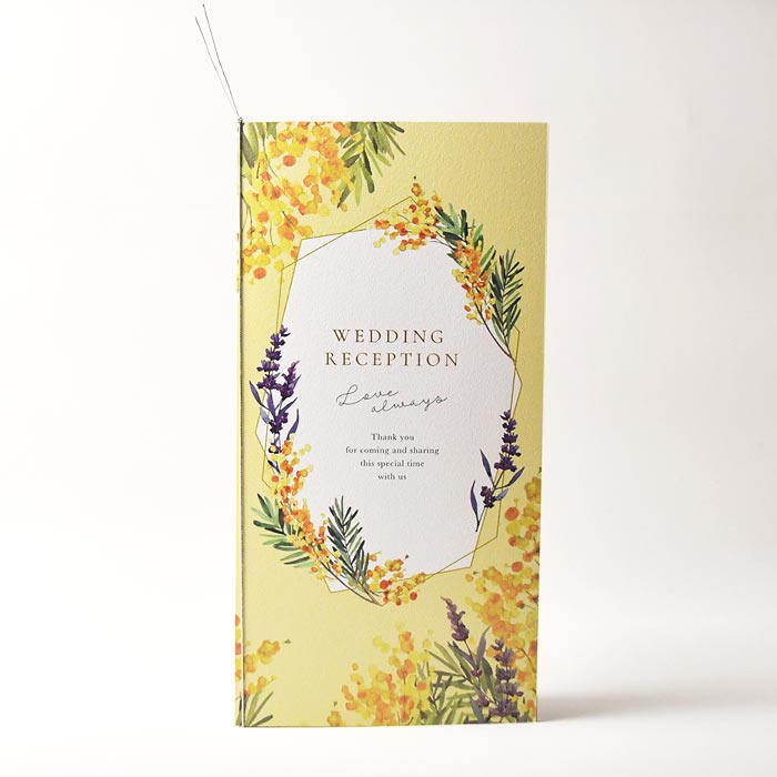 �μ��ꥭ�åȡ��ʼ�ɽ�֥ߥ⥶����ե�ס�10���� �뺧���������񡿲񿩡���Ϫ�㡿�ѡ��ƥ������ʽ�ɽ������ɽ