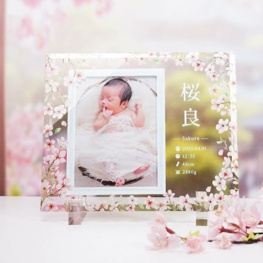 フォトフレーム 写真立て 命名書 ベビーフォトフレーム 孫誕生記念 出産メモリアルギフト 誕生記念品 お宮参り記念品 お食い初め記念品 名入れ メモリアル 出産内祝い 出産記念品 ／命名書ガラスフォトフレームプレート