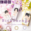 (1箱2枚) Bishonennga　美少年画　マンスリー 1ヶ月カラコン [Bishonennga-1month][EN-T]*