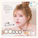 (1箱10枚) ANGEL バンビシリーズ ワンデー ナチュラルカラコン bambi-natural-10p EN-T