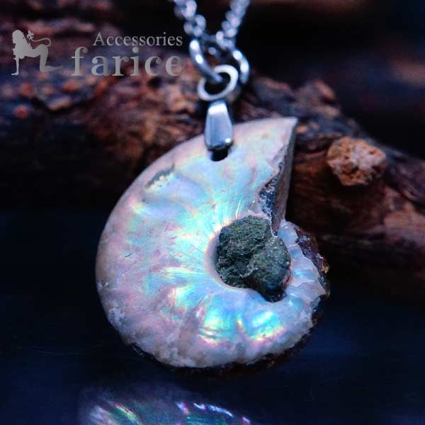 【 訳あり カケや岩石残存あり 】ミニサイズ アンモナイト ネックレス シンプル 本物 軽量 天然 自然 ネイチャー 貝 ユニセックス ペンダント