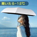 日傘 完全遮光 超軽量 uvカット 晴雨兼用 自動開閉 傘 ワンタッチ 遮光率100% 遮熱 レディース メンズ 軽量 UPF50+ 折りたたみ コンパクト 雨傘 ワンプッシュ 折りたたみ傘 紫外線対策 6本骨 撥水 耐風