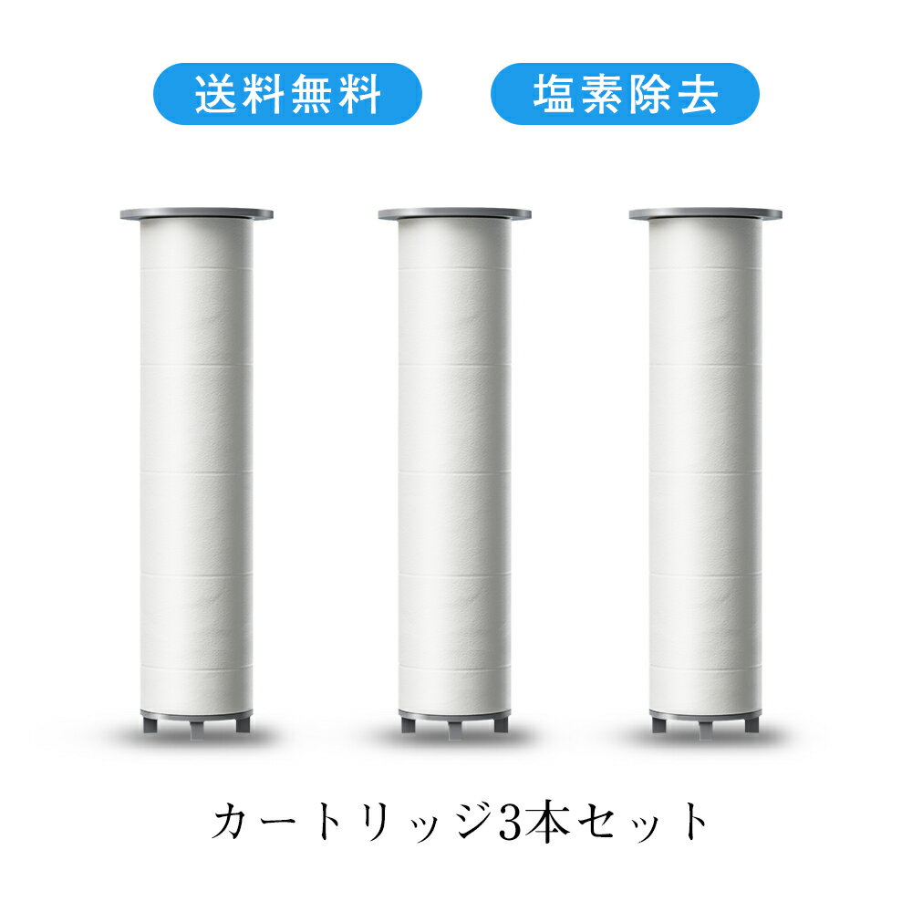 交換用カートリッジ シャワーヘッド用 塩素除去 水質改善 浄水フィルター カートリッジ 3本セット(6ヵ月分) ナノロバブル 全国送料無料 S-HS-HS-06...