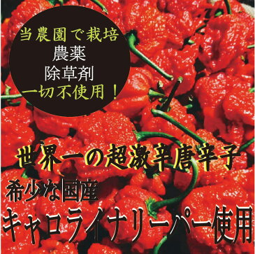 【国産原料100％】キャロライナリーパー超激辛七味唐辛子10g　ギネス世界一辛い唐辛子