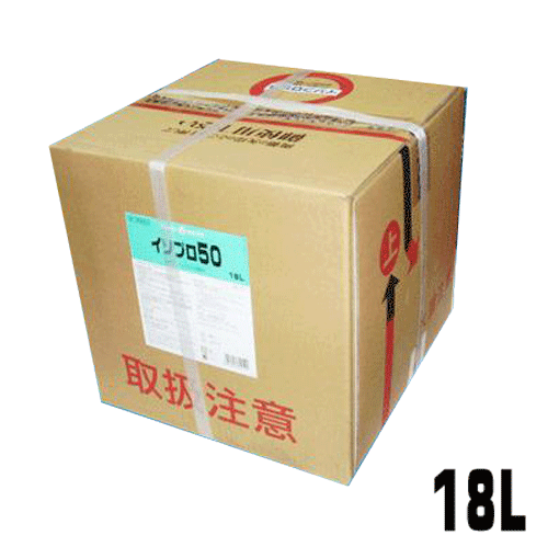 륮˥󥷥ȥ󰡱240γ