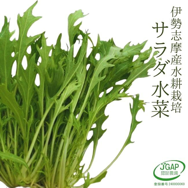 पڤã㤨֥ 30g ̺ ໺  ľ ľ   䤵 ݴ沽Ի JGAPǧפβǤʤ220ߤˤʤޤ