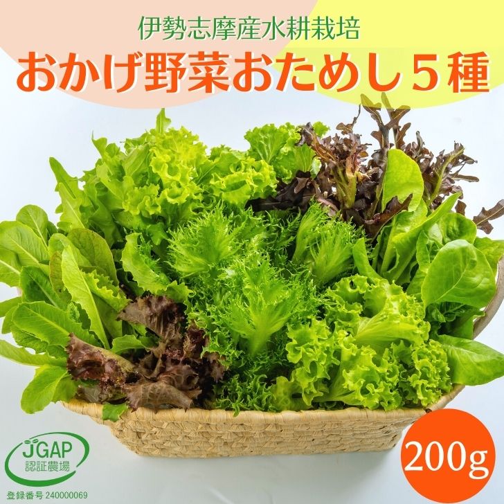 野菜セット 5種類詰め合せ 200g 水耕