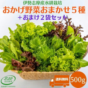 野菜セット500g 送料無料 水耕栽培 伊勢志摩産 おかげ野菜5種類＋おまけ野菜2袋詰め合せ サラダ 野菜詰め合わせ 生野菜 農家直送 おまかせ お試し セット お試しセット レタス ベビーリーフ 産地直送 おかげ野菜 やさい JGAP認証農場