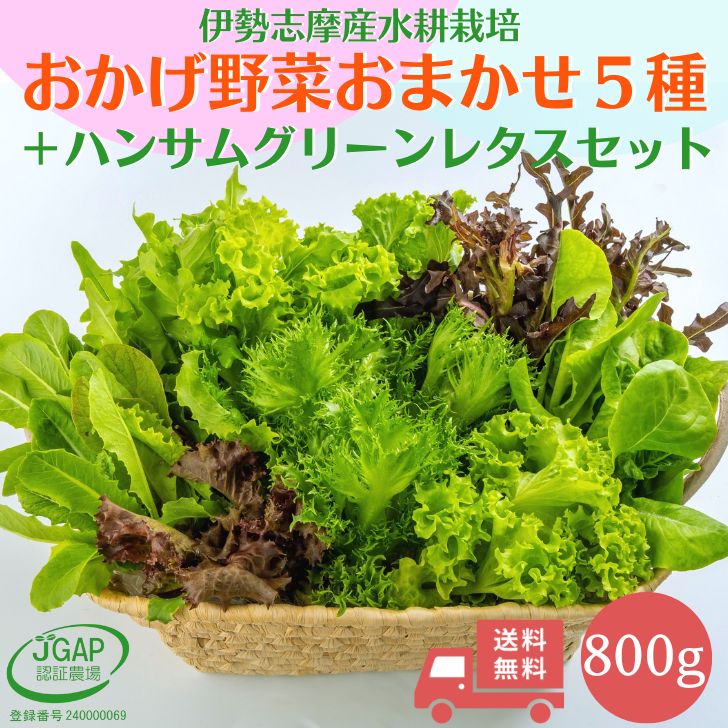 ڥå800g̵̺ݰ໺ľޤڣܥϥ󥵥॰꡼쥿ͤ礻ڵͤ碌ޤåȥ쥿٥ӡ꡼եϥ󥵥॰꡼ľ䤵ʣǣǧ