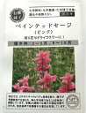 ペインテッドセージ ＜ピンク＞種 エディブルフラワーの種 食用花 ハーブ グリーンフィールドプロジェクト 有機種子 ★クロネコゆうパケット250円で送付可！★ 花の種 ハーブの種 花 食べられる