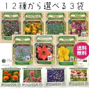 エディブルフラワー種セット 選べる 3袋 エディブルフラワー 食用花 種セット タネ ハーブ グリーンフィールドプロジェクトの種 ★ネコポス 送料無料★ 有機種子 花の種 ハーブの種 花 食べられる ランキング1位