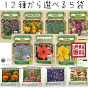 エディブルフラワーの種セット 選べる 5袋 エディブルフラワー 食用花 種セット タネ ハーブ グリーンフィールドプロジェクトの種 ★ネコポス 送料無料★ 有機種子 花の種 ハーブの種 花 食べられる