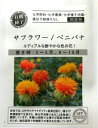 【有効期限間近につき割引】 サフラワー(ベニバナ・紅花)種 エディブルフラワーの種 食用花 ハーブ グリーンフィールドプロジェクト 有機種子 ★ネコポス250円で送付可!★ 花の種 ハーブの種 花 食べられる