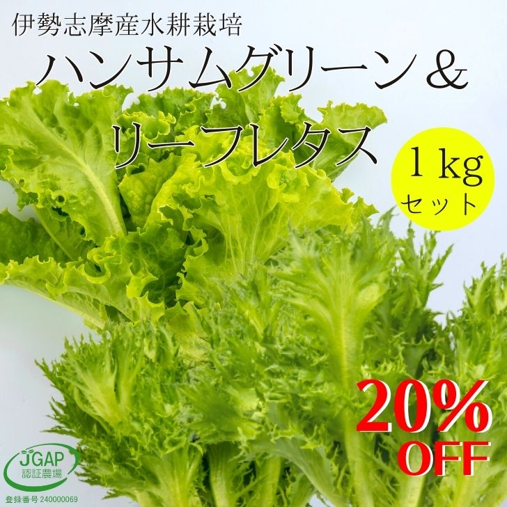 ハンサムグリーンレタス＆グリーンリーフレタス 1kg セット 水耕栽培 伊勢志摩産 業務用 サラダ 生野菜 リーフレタス 野菜セット やさい 産地直送 農家直送 おかげ野菜 詰め合わせ 栽培期間中化学農薬不使用 シェア 業務用