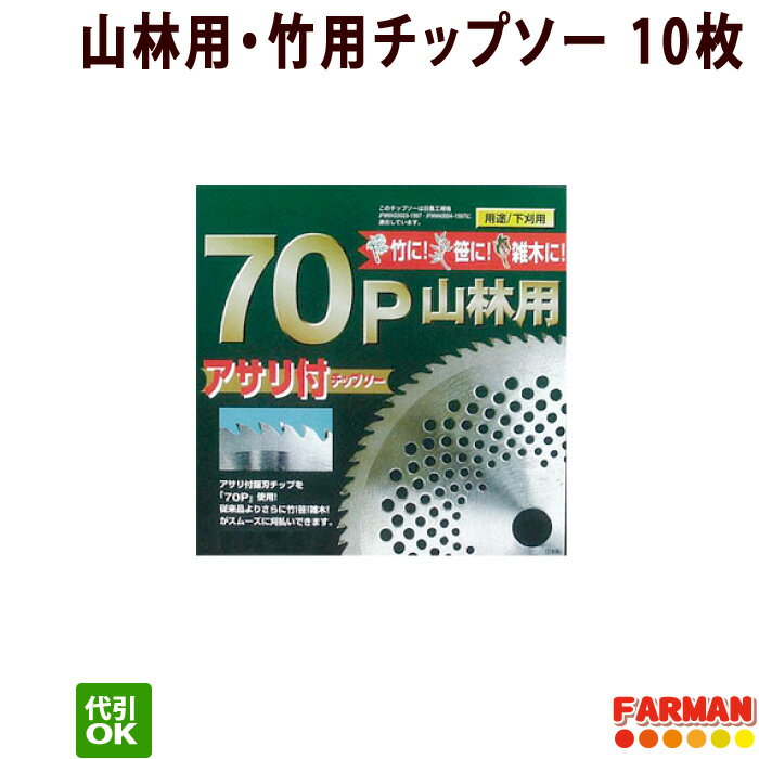 フジ鋼業 70P山林用チップソー 255×70P 山林用・竹用チップソー 10枚セット