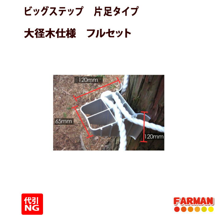 巴化成 片足 ビッグ大径木用フルセット【Big-L-3set】（ビッグステップL12ケ入+ハンガー+安全帯）【代引不可】