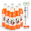 人参ジュース 無添加 無農薬人参 奇跡の人参ジュース 出口崇仁農園 1000ml/本 6本 ...