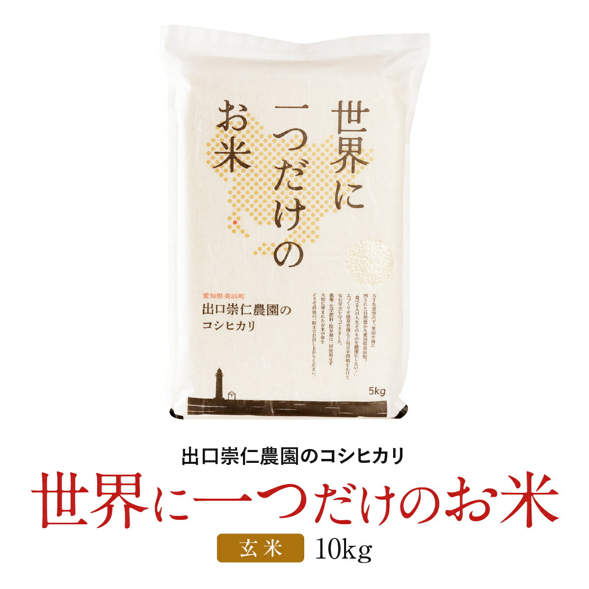 玄米 無農薬 米 令和5年度産 米 コシヒカリ 出口崇仁農園 世界に一つだけのお米 愛知産 玄米 10kg 送料無料 農薬不使用 除草剤不使用 化学肥料不使用 玄米は真空パックではありません こだわり米 お米 kome rice