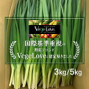 【Vege Love認定】太め 青ネギ 青葱 3kg 5kg 国産 万能ネギ 青葱 長ネギ5キロ 長ネギ 保存 兵庫県産 青ねぎ 有機 ネギ 葱 ねぎ 冷蔵保存 産地直送 産直 業務用 家庭用 お店用 農家 加工用 ねぎ焼き 国産 中葱 お好み焼き うどん 卸売り 卸 ねぎ焼き 大容量 ネギキムチ