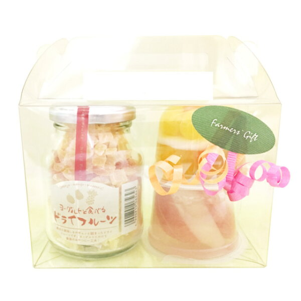 ゼリー ギフト かわいい みんな探してる人気モノ ゼリー ギフト かわいい 食品 ゼリー ギフト かわいい みんな探してる人気モノ ゼリー ギフト かわいい 食品
