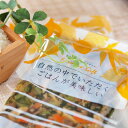 混ぜご飯の素『野沢菜ちりめんご飯』ちらし 太巻き STAYHOME おうちごはん お祝い 一人暮らし 単身赴任 引越し パーティー 行楽 お弁当 アレンジ 総菜 惣菜 混ぜるだけ サラダ ご飯のお供 簡単 便利 時短 プレゼント 手土産 お取り寄せ 120g