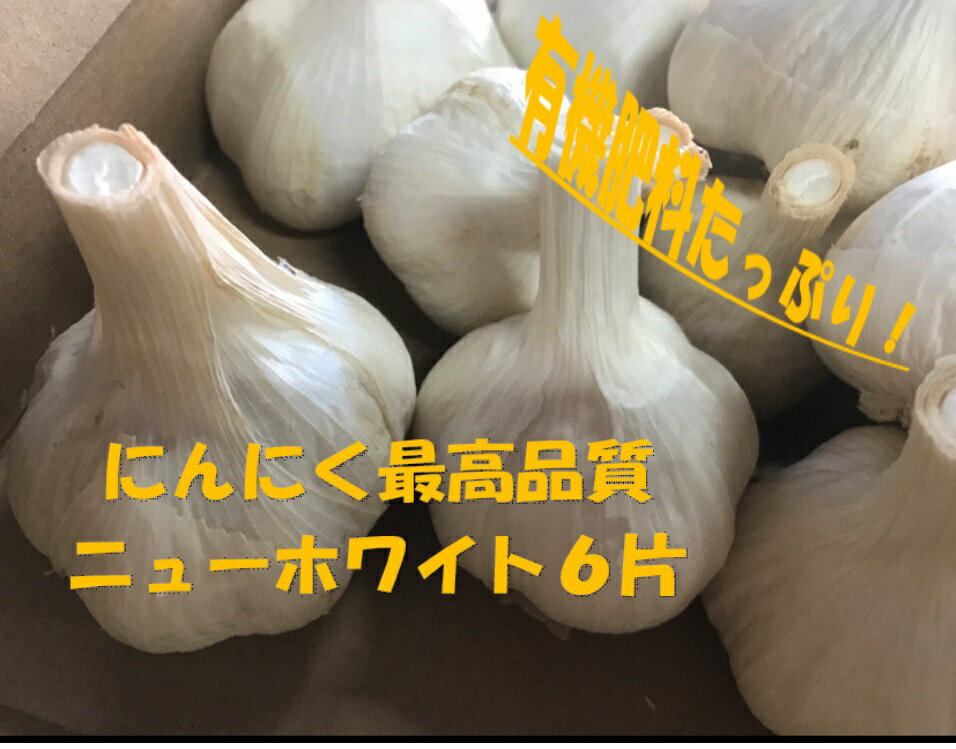 《送料無料》J-GAP認定農園 　にんにく　ニューホワイト6片　1kg　 S~2L混み玉サイズ　北海道産　甘みと旨みたっぷり！　素揚げ　アヒージョ　パスタ　焼き肉　ラーメン　餃子　オイル漬け （株)ファーマーズワン　farmersone