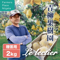 【予約受付中】ルレクチェ 洋梨 秀品 贈答用 2kg (5〜7玉) 生産者・青柳果樹園 新潟県産 お歳暮 送料無料 ギフト 贈り物 贈答品 高級