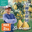 【予約受付中】ルレクチェ 洋梨 良品 家庭用 2kg (5〜7玉) 生産者・青柳果樹園 新潟県産 お歳暮 送料無料 ギフト 贈…