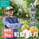 【予約受付中】和梨 秋月 あきつき 秀品 贈答用 3kg (5〜9玉) 生産者・青柳果樹園 新潟県産 お中元 送料無料 ギフト 贈り物 贈答品