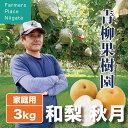 梨 【予約受付中】和梨 秋月 あきつき 良品 家庭用 3kg (5〜9玉) 生産者・青柳果樹園 新潟県産 お中元 送料無料 ギフト 贈り物 贈答品