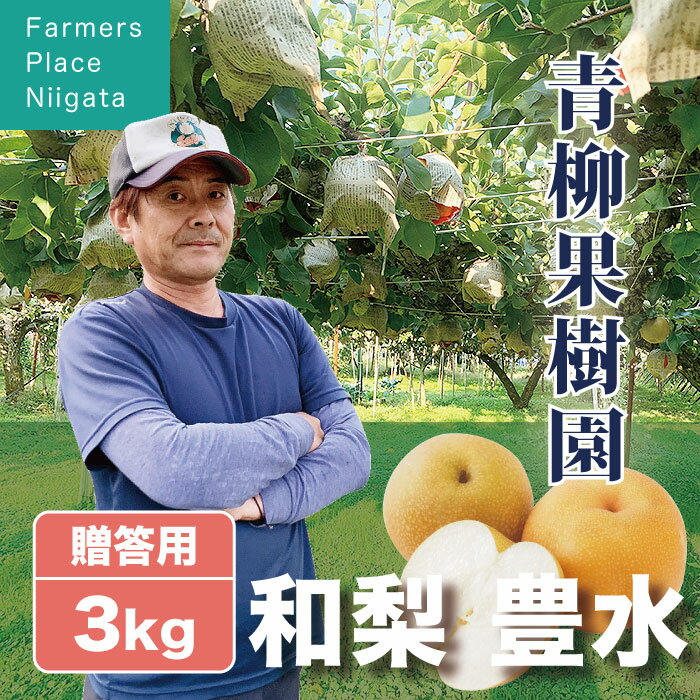 ͽ ˭ ۤ  £ 3kg (59) ԡ̼ 㸩 渵 ̵ ե £ʪ £