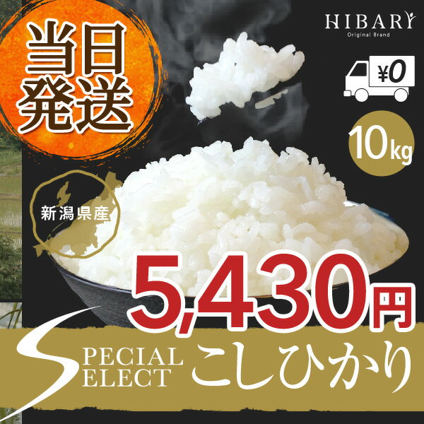 【★年末年始セール★枚数限定クーポン利用で5430円 送料無料 あす楽】【総合ランキ...