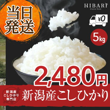 【枚数限定クーポン利用で今だけ2480円 送料無料 あす楽　新米】米 新潟産 コシヒカリ 5kg 送料無料 (北海道、九州、沖縄を除く) 新潟県産 30年産 白米 玄米 無洗米より甘い のし対応