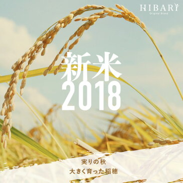 【枚数限定クーポン利用で今だけ2480円 送料無料 あす楽　新米】米 新潟産 コシヒカリ 5kg 送料無料 (北海道、九州、沖縄を除く) 新潟県産 30年産 白米 玄米 無洗米より甘い のし対応