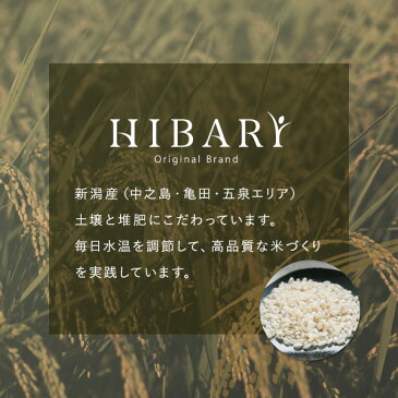 米 新潟産 コシヒカリ 5kg 送料無料 新潟県産 29年産 【あす楽】選べる 白米 玄米 お中元 のし対応 無洗米より甘い 【商品レビューで次回使えるクーポンプレゼント♪】