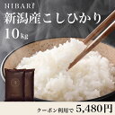 山形県 特別栽培米 コシヒカリ 米 5kg 送料無料 令和4年 こしひかり 減農薬米 お米 白米 5キロ