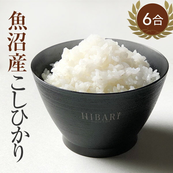 【お試し 900g 6合】魚沼産コシヒカリ HIBARI ヒバリ 令和元年産 米 お米 白米 新潟県産 こしひかり 産直 ミシュラン店ご用達 ゆうパケット 送料無料 ポイント消化