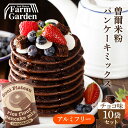 送料無料 名水育ち もちもち米粉パンケーキミックス チョコ味 200g×10個セット アルミフリー グルテンフリー 贈り物 ギフト ギフトセット プレゼント お...