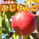 \7/1-8/1ず~っとポイント10倍/【※エントリー必須】りんご リンゴ 林檎 ふじ お取り寄せ 青森県産 約5キロ 約10キロ 送料無料 のし 贈答 贈り物 甘い あまい グルメ 青森県 トップブランド 季節の果物 国産 フルーツ 果物 くだもの 数量限定 人気 おすすめ 無料 のし