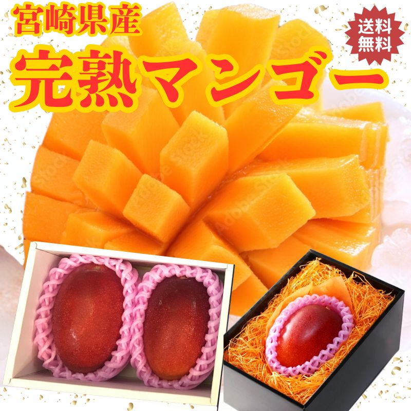宮崎県産マンゴー 宮崎完熟マンゴー 完熟マンゴー マンゴー 宮崎 秀品 贈答品 高級フルーツ 宮崎県産 お取り寄せ 南国フルーツ 高級果物 贈り物 季節の果物 宮崎 国産 母の日 父の日 お中元 フルーツ 果物 くだもの 数量限定 人気 おすすめ 期間限定 送料無料