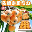 【 送料無料 】 長崎 びわ 1箱 500g(12玉) 秀品 茂木 枇杷 ビワ 完熟 国産 特産 九州 樹上 完熟 長崎県産 期間限定 果物 採れたて お取り寄...