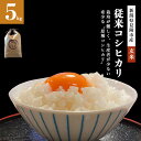 こしひかり 従来コシヒカリ 5kg コシヒカリ 令和5年産 新潟産 新潟県産 玄米 ご飯 ごはん 米 ご贈答用 ギフト プレゼント 体重米 プチギフト ファーム喜左ヱ門