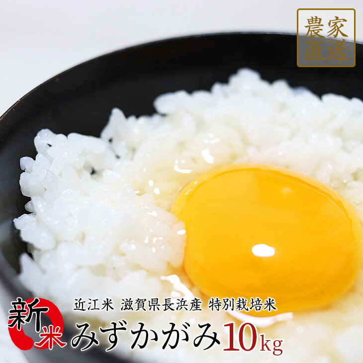 【予約販売】新米 みずかがみ 10kg 令和2年産 近江米 滋賀県産【9月中旬入荷予定】