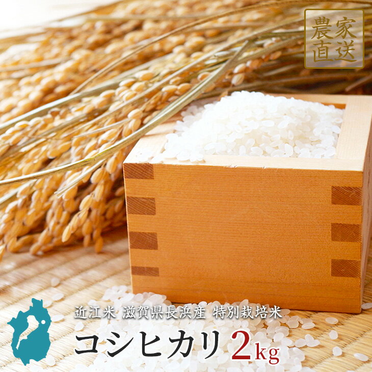 コシヒカリ お米 2kg 送料無料 滋賀県産 近江米 特別栽培米 令和2年産 美味し...