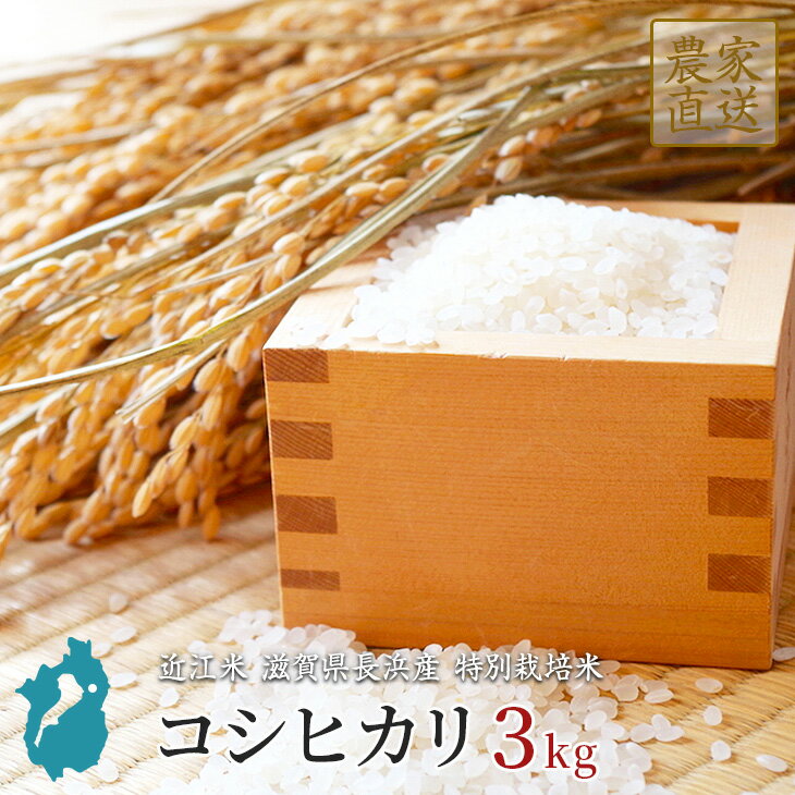 コシヒカリ お米 3kg 送料無料 滋賀県産 近江米 特別栽培米 令和2年産 美味しい 玄米 白米