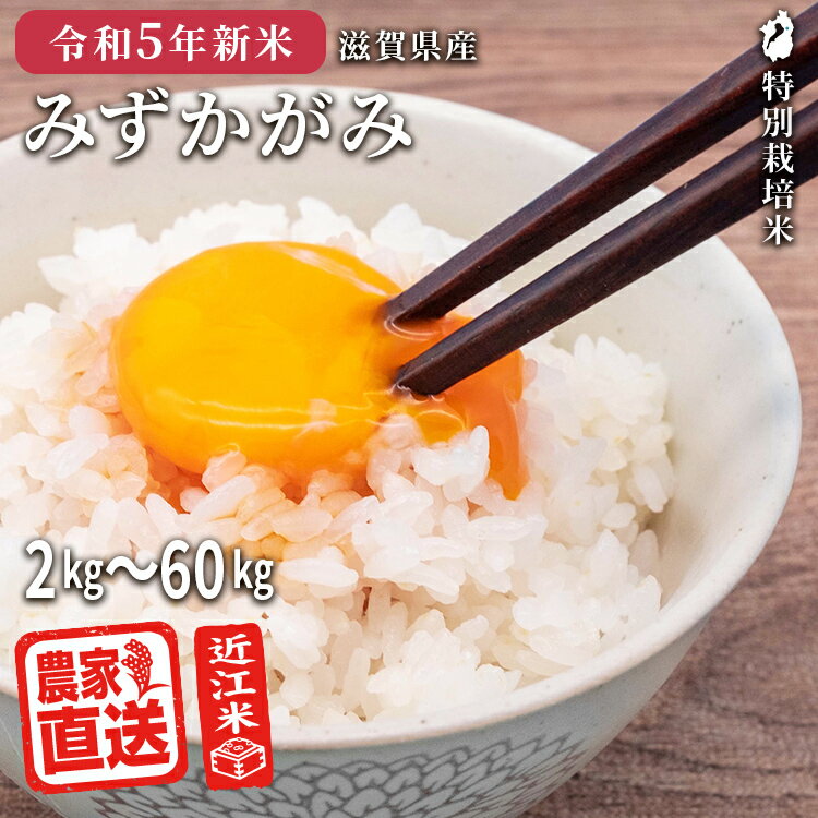 【9月中旬入荷予定】【予約販売】近江米 農家直送 米 みずかがみ 2kg?60kg 特別栽培米 令和5年 滋賀県産 送料無料 お米 玄米 白米 精米無料