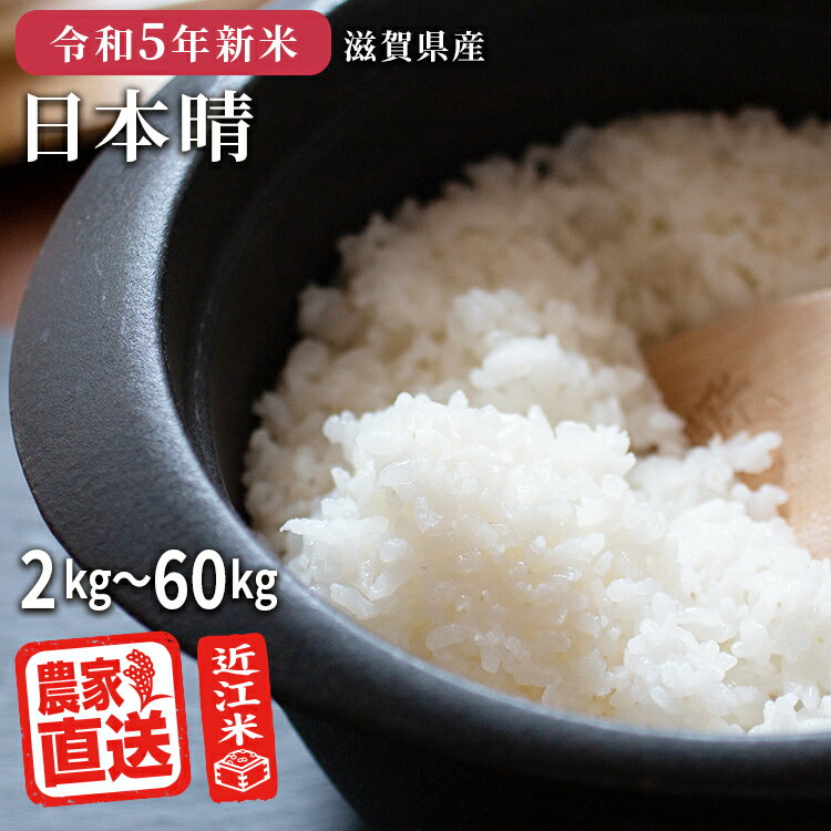 近江米 農家直送 米 日本晴 2kg～60kg 令和5年 滋賀県産 お米【玄米】 送料無料 精米無料のサムネイル
