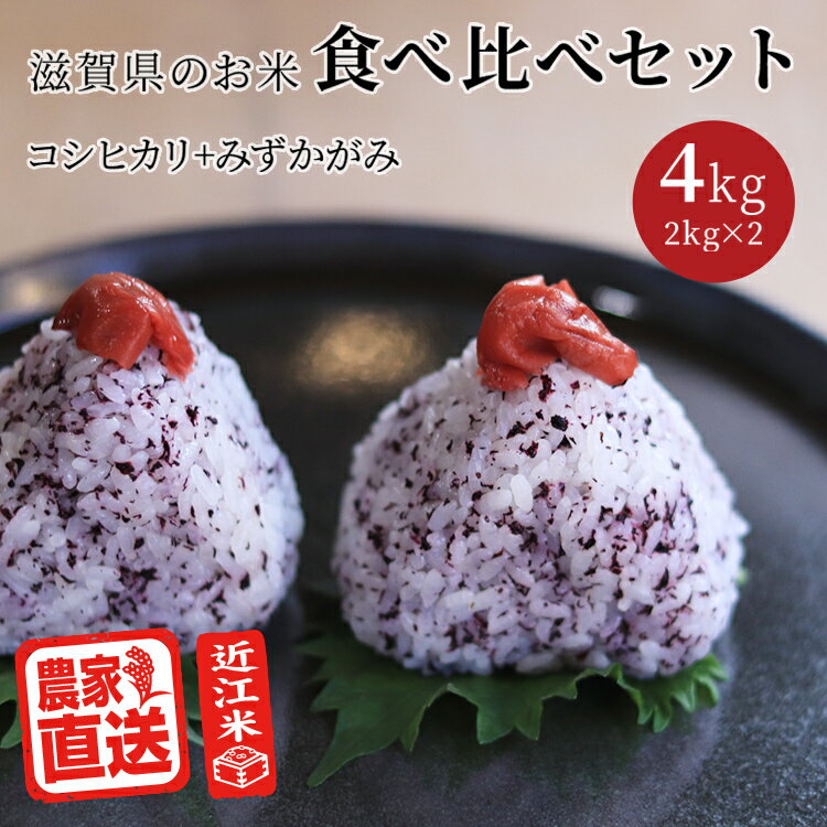 米 お米食べ比べ セット コシヒカリ みずかがみ (2kg×2種 計4kg) 令和2年 滋賀県産 近江米 白米 玄米 送料無料 少量 味比べ