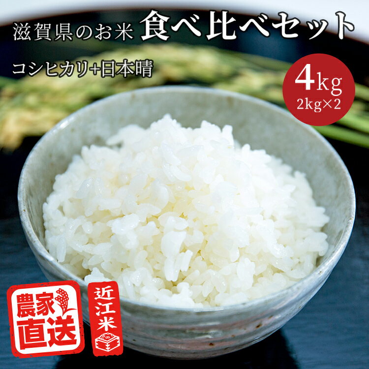 農家直送 近江米 令和5年産 お米食べ比べ セット コシヒカリ 日本晴 (2kg×2種 計4kg) 滋賀県産 白米 玄米 送料無料 少量 味比べ 2023年 1